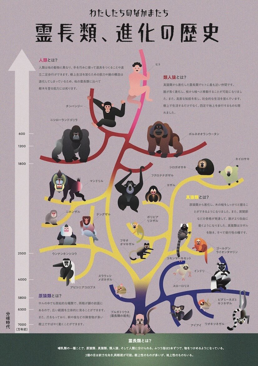 ビジュアルコミュニケーションデザイン表現 I ブックデザイン講評 (1) イメージ