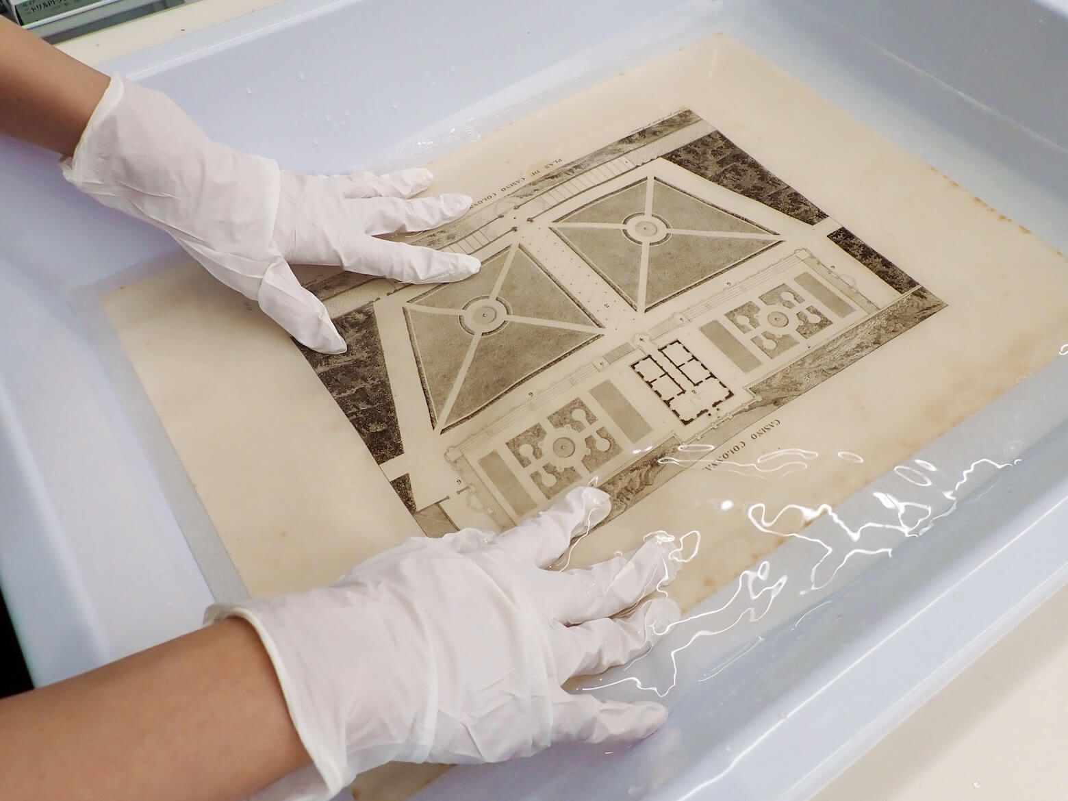 修復保存Ⅱ (3) イメージ