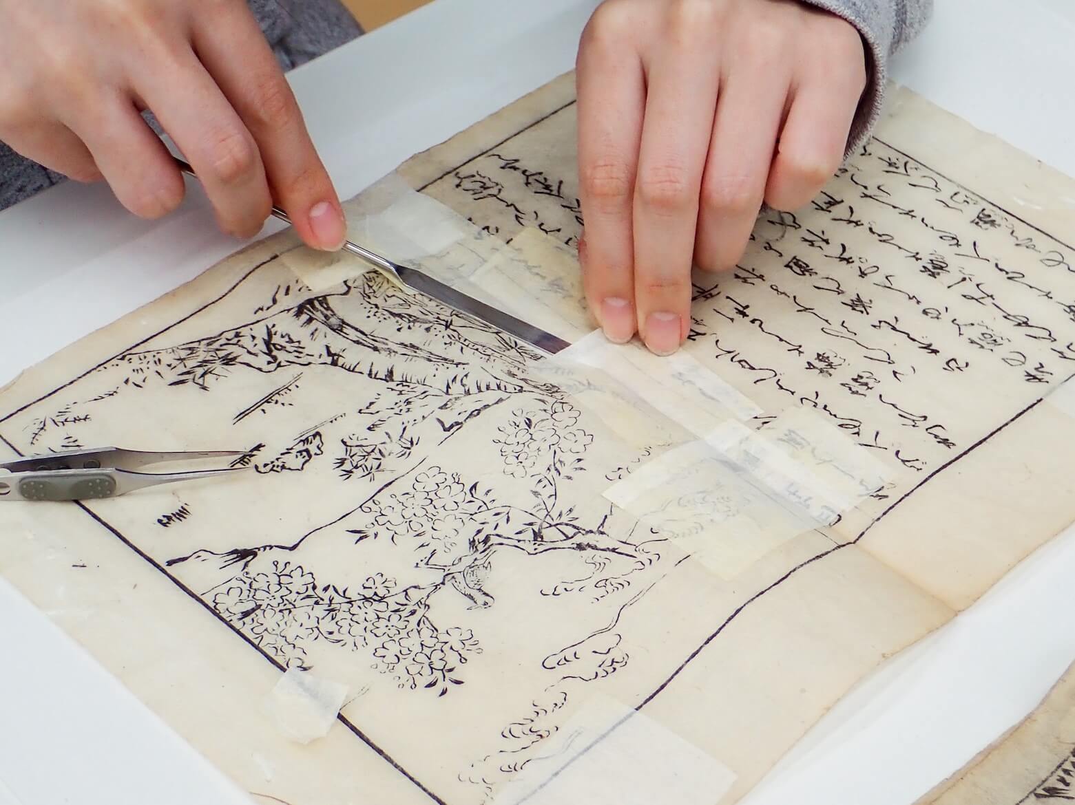 修復保存Ⅳ (2) イメージ