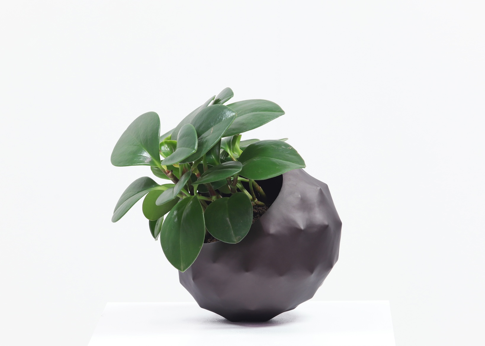 美術研究 II イメージ