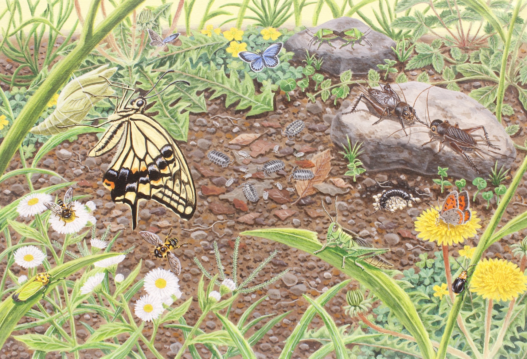 イラストレーション表現Ⅰ─課題① 連作イラストレーション イメージ