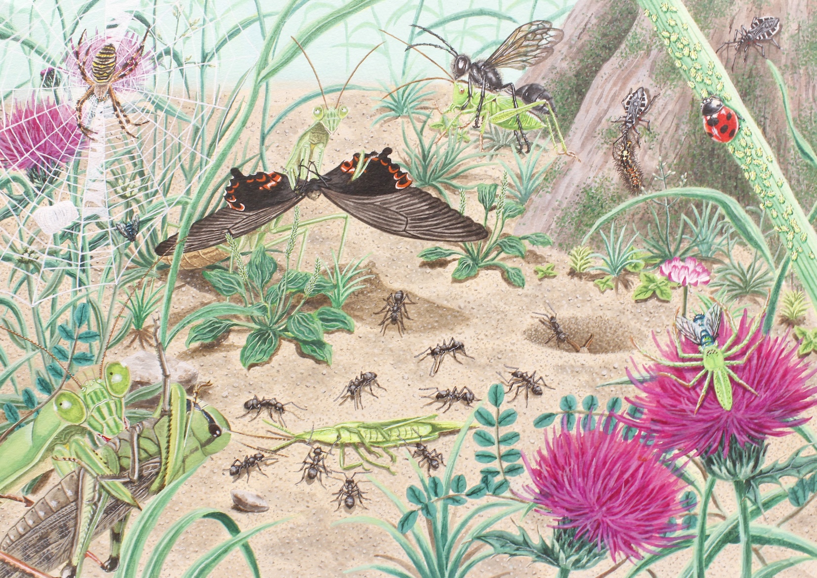 イラストレーション表現Ⅰ─課題① 連作イラストレーション イメージ