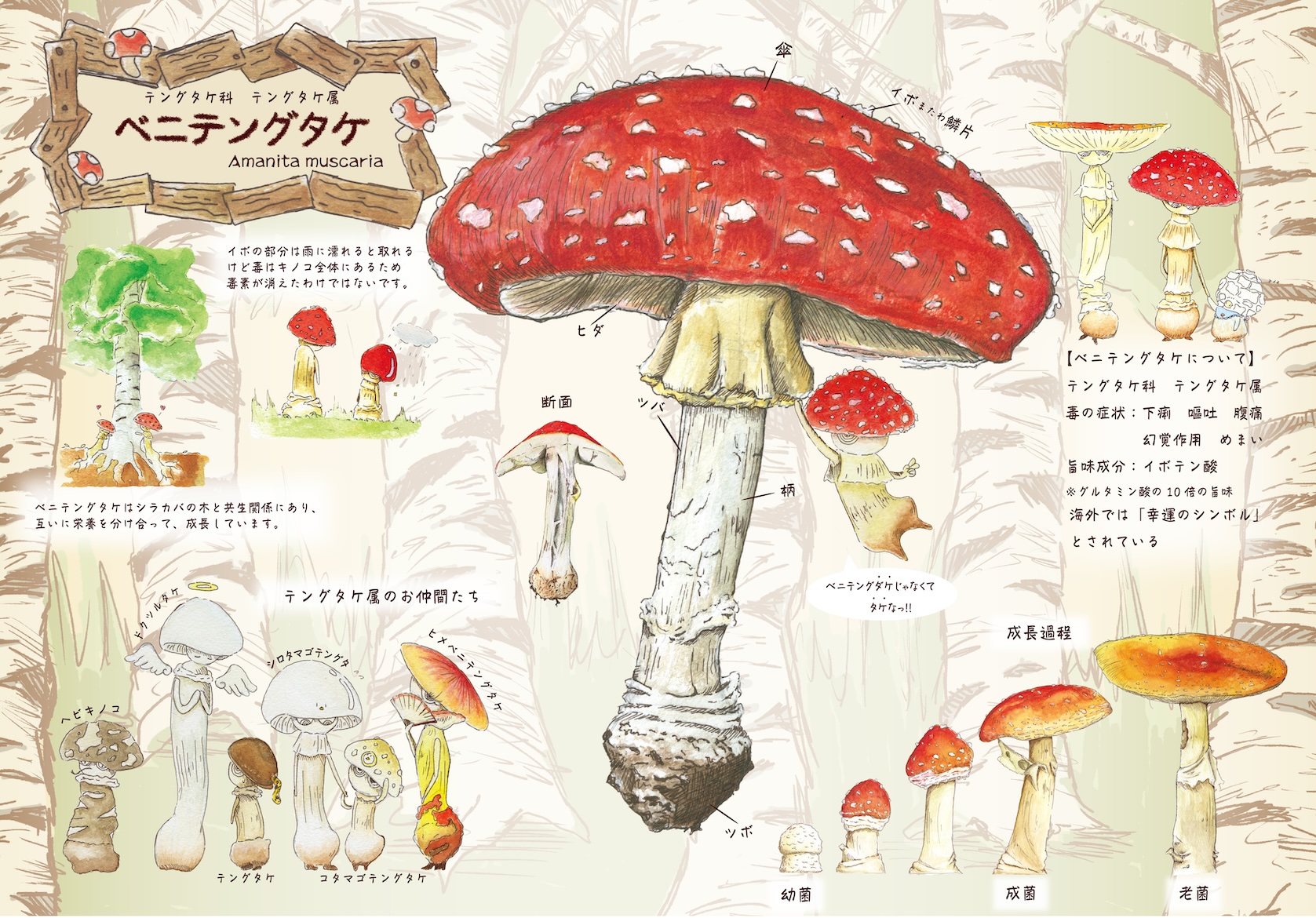 イラストレーション表現Ⅱ─課題① 図説イラストレーション イメージ