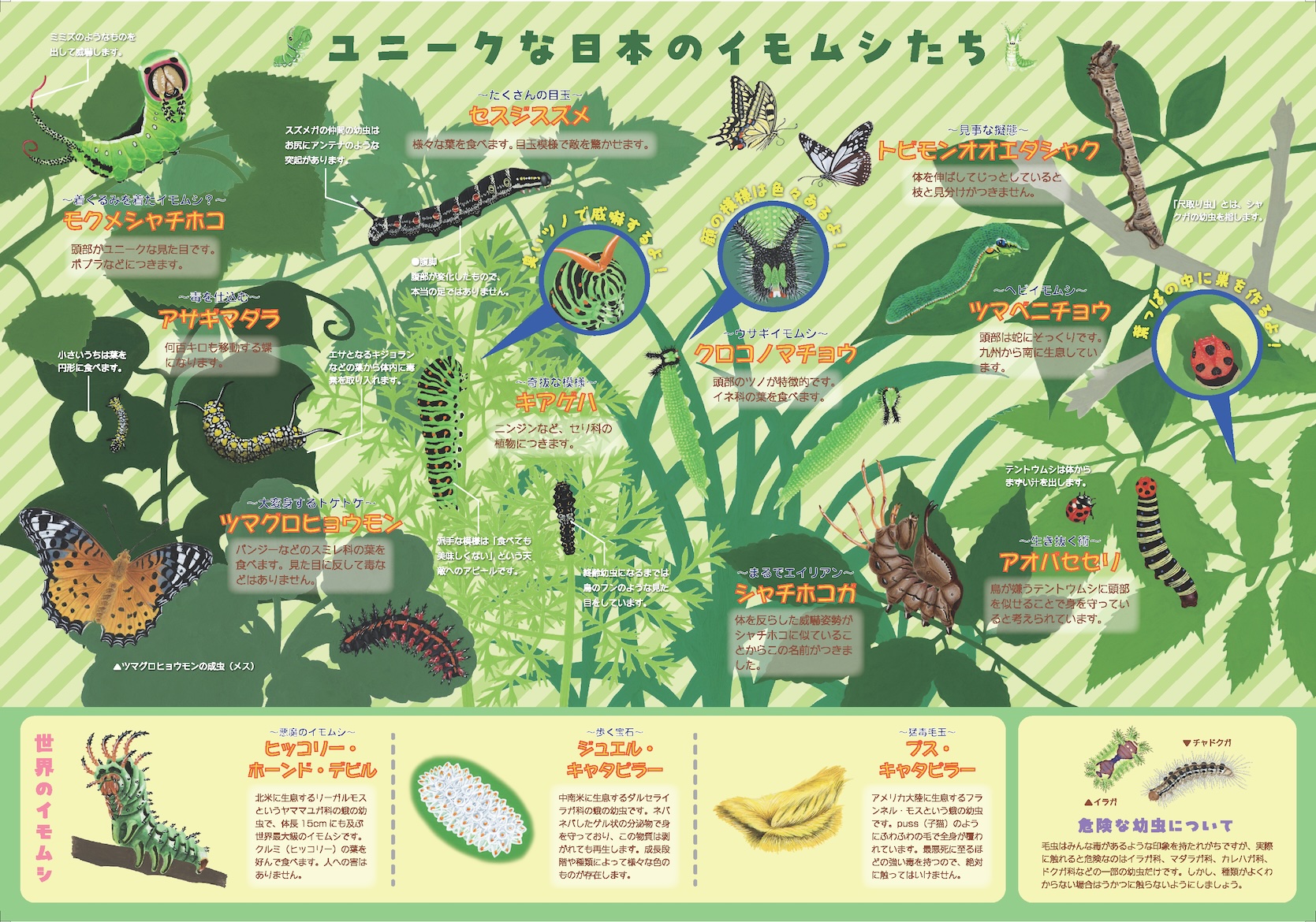 イラストレーション表現Ⅱ─課題① 図説イラストレーション イメージ