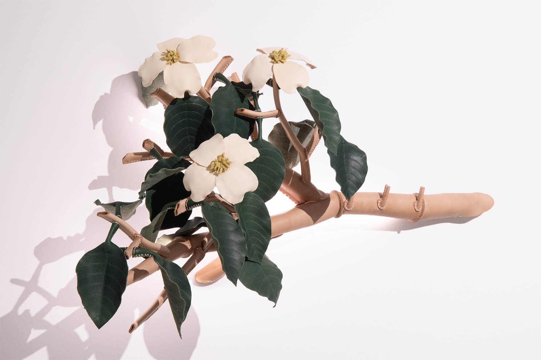 卒業制作 イメージ