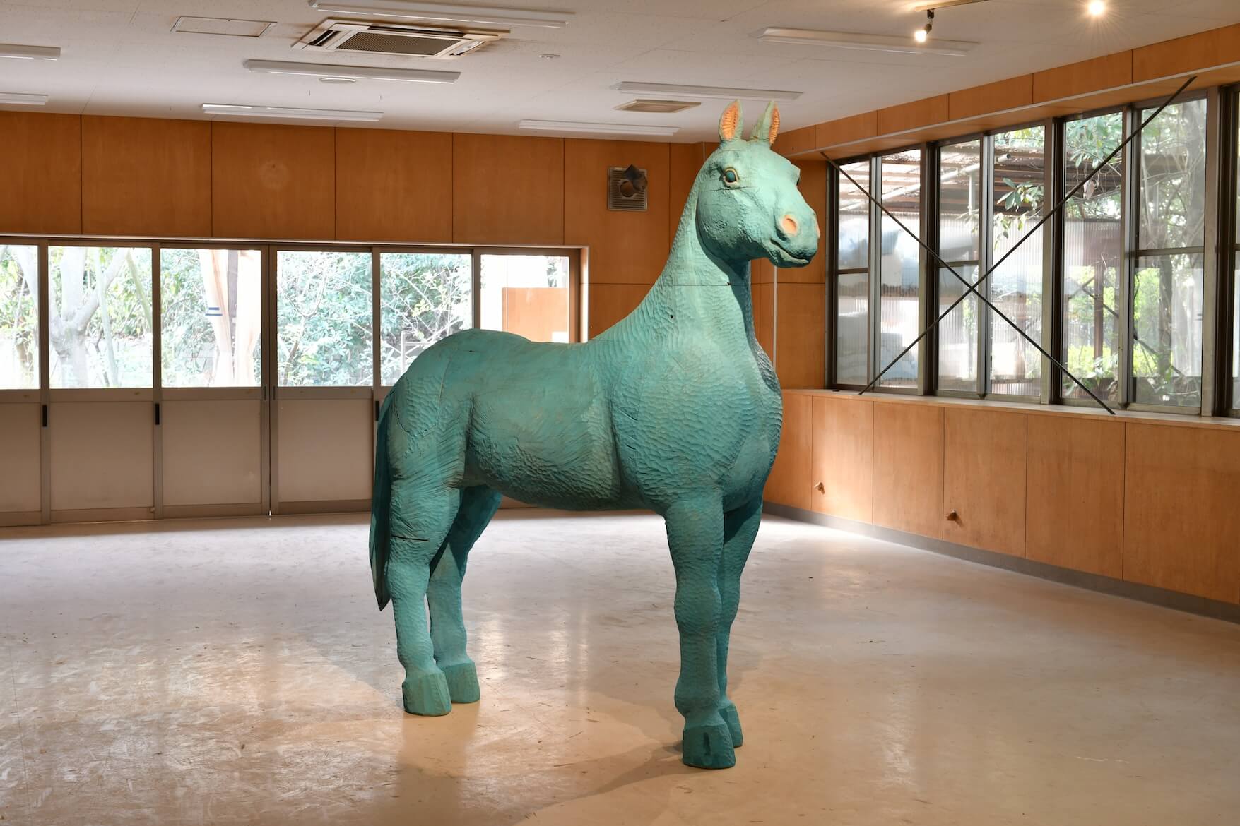 卒業制作「まなざし」 イメージ