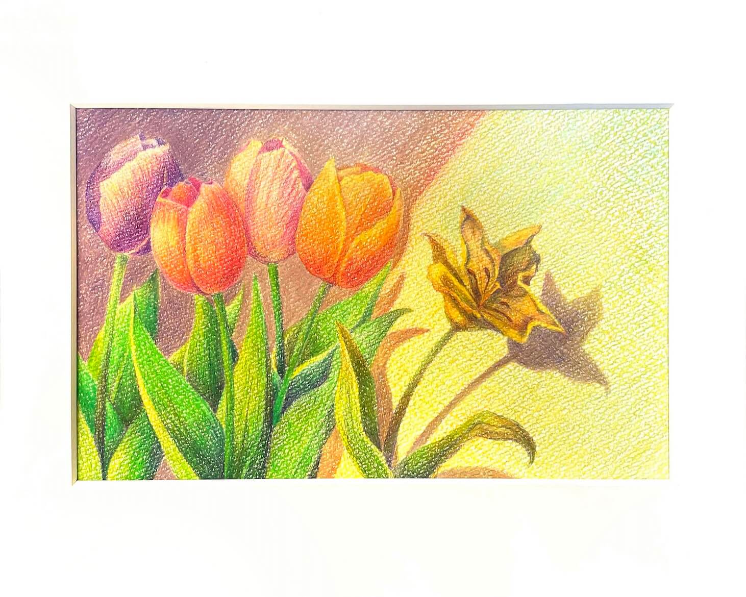 イラストレーション表現Ⅳ─課題② 原画をみせる イメージ