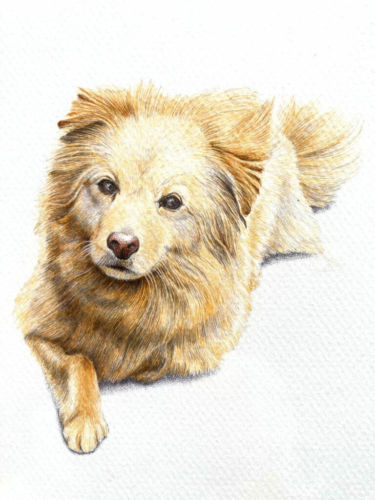 ペンで描く細密動物画～午前～ イメージ