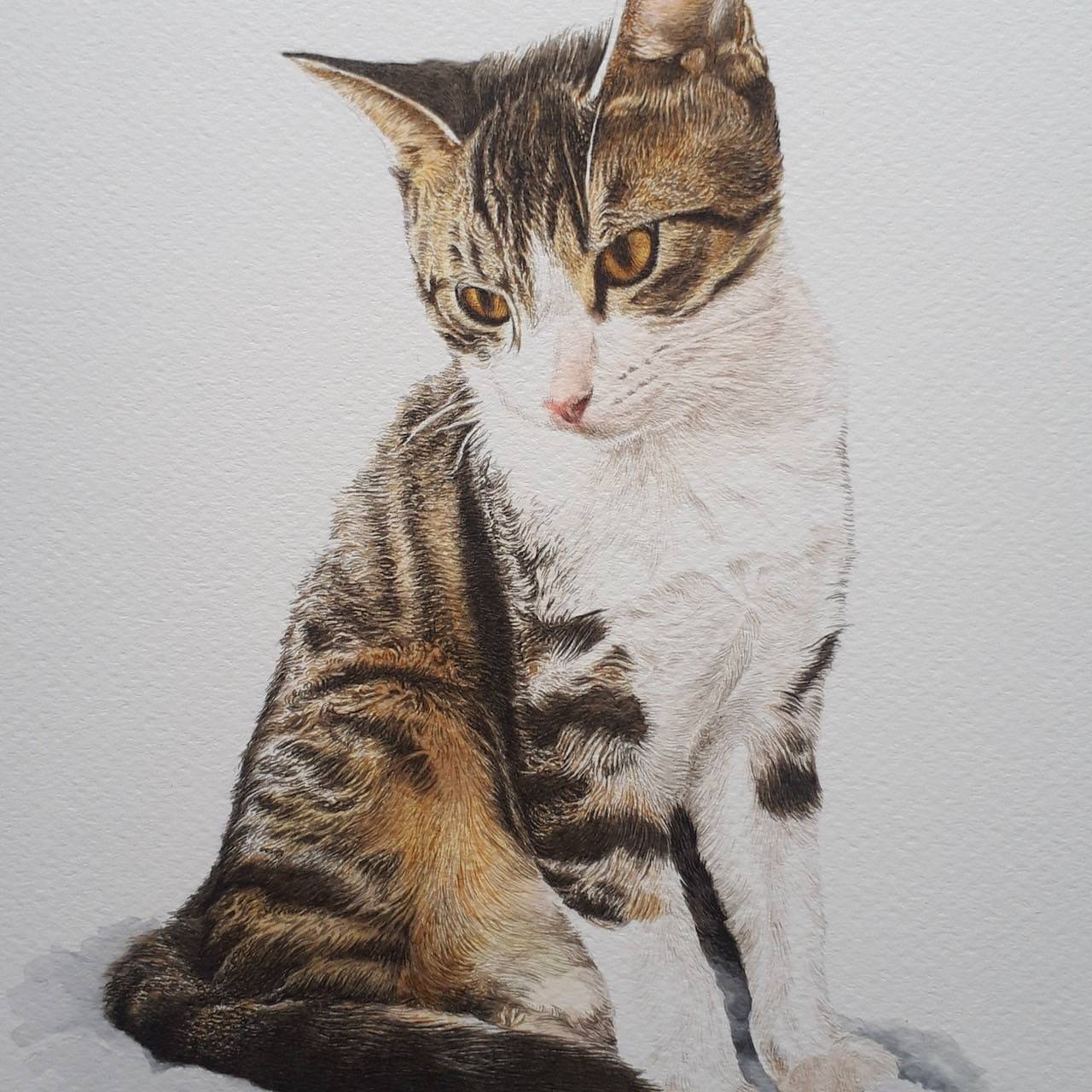 ペンで描く動物画～午前～ イメージ