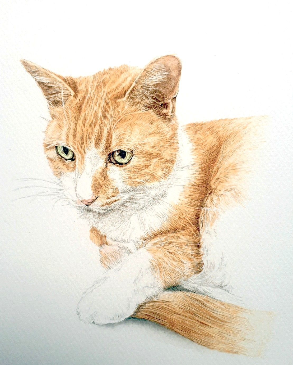 ペンで描く動物画～午前～ イメージ