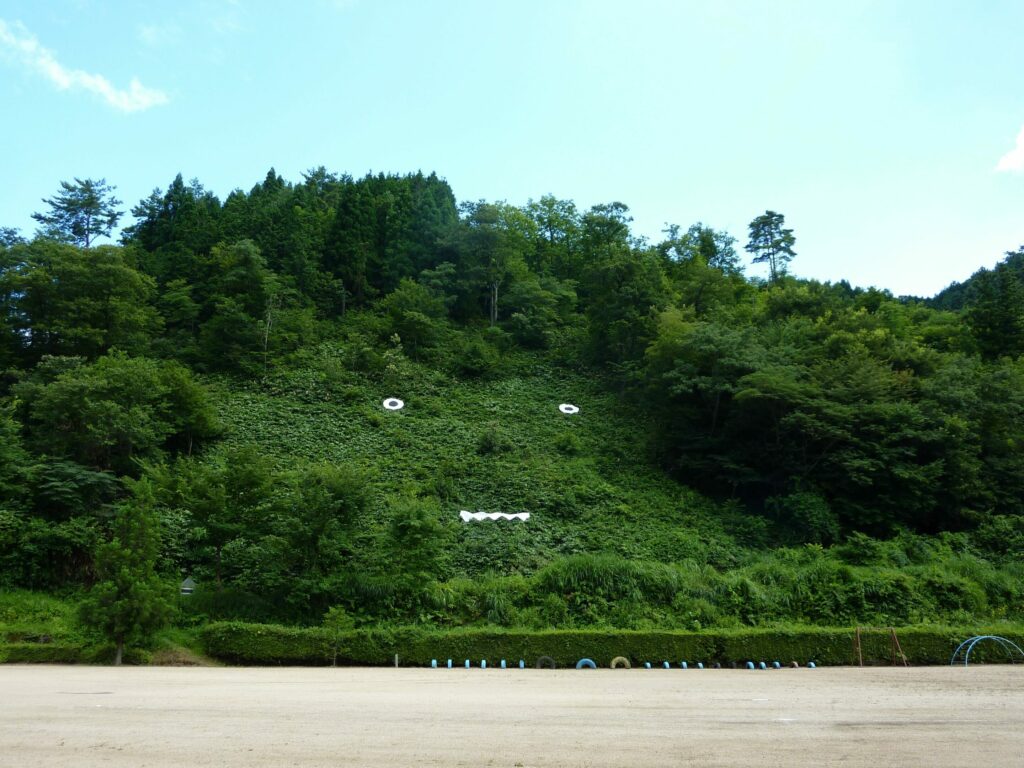 小中 大地 イメージ