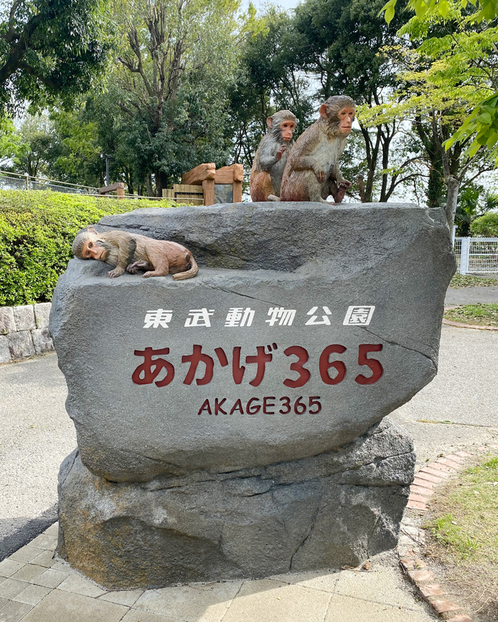 本学講師・副手・学生が東武動物公園「あかげ365」サインデザイン設計に協力 イメージ