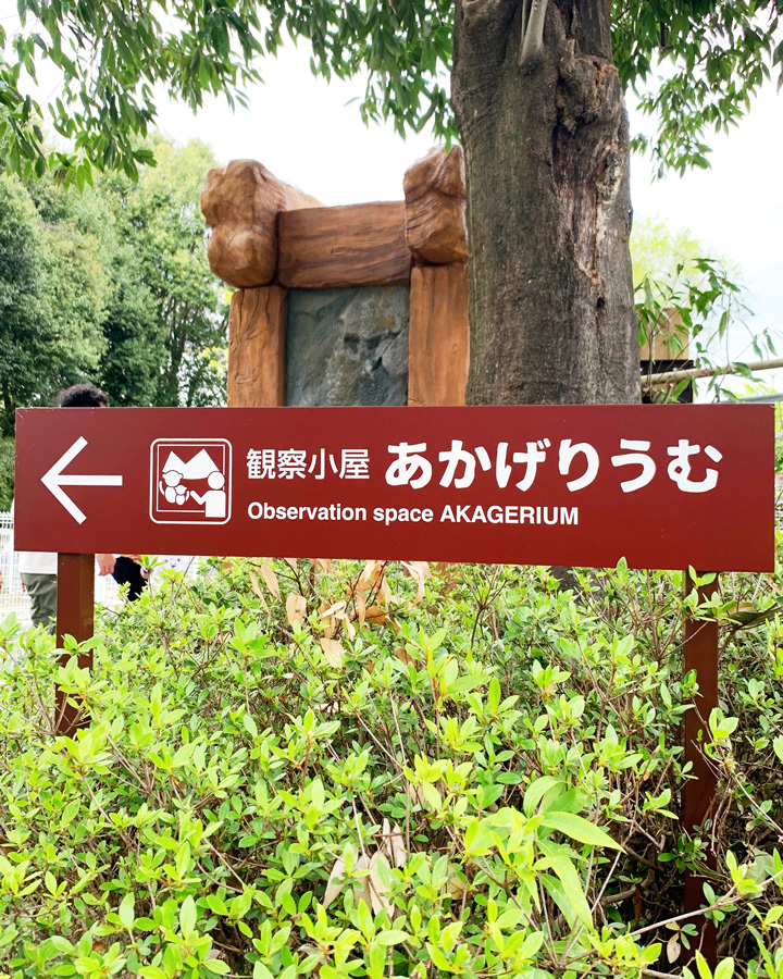 本学講師・副手・学生が東武動物公園「あかげ365」サインデザイン設計に協力 イメージ