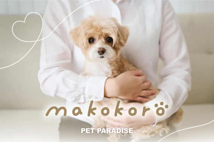 卒業生 鈴木 理南さんが企画・デザインを担当した『makokoro(まこころ）』シリーズが発売 イメージ