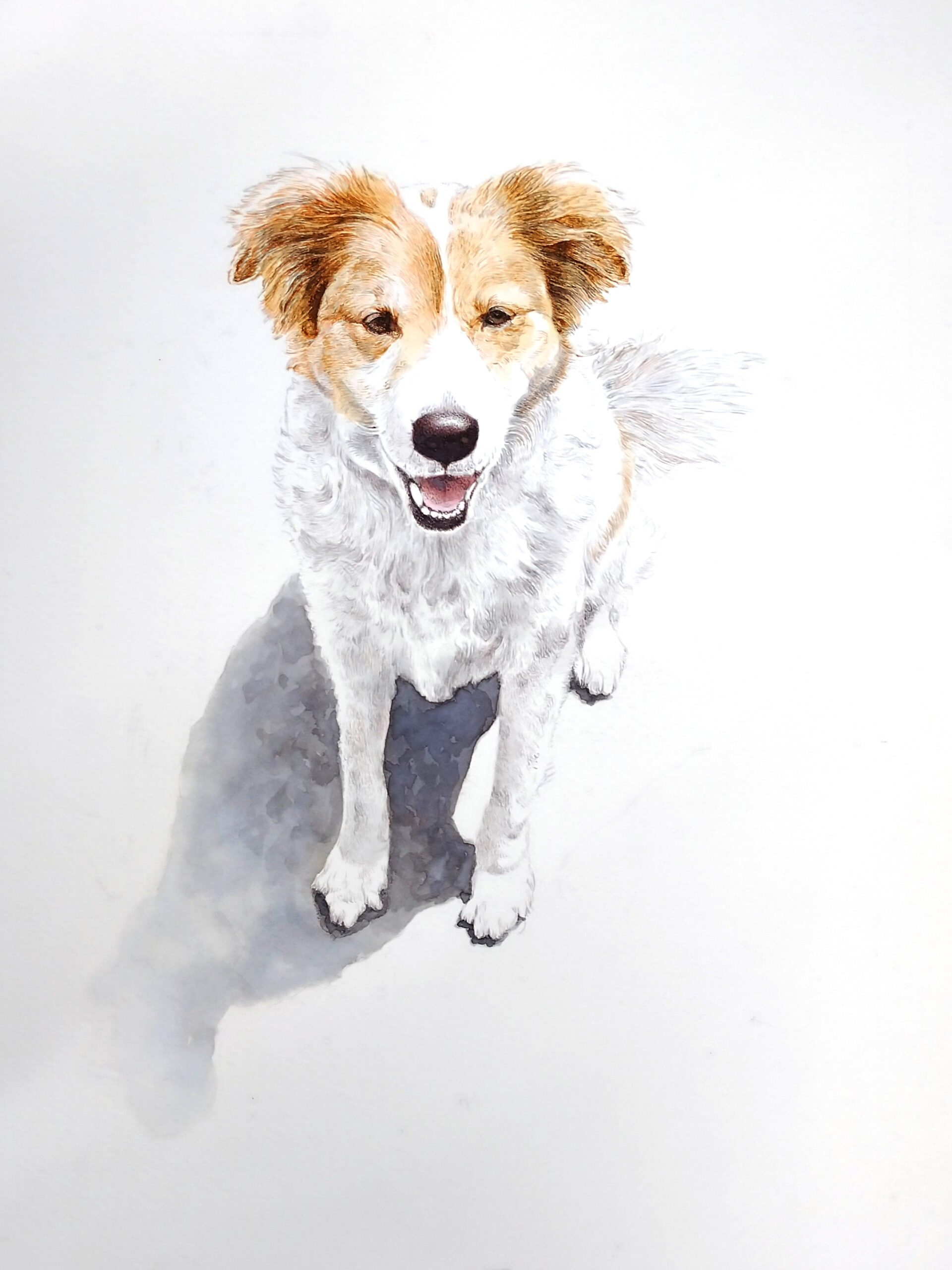 ペンで描く細密動物画～午後～ イメージ