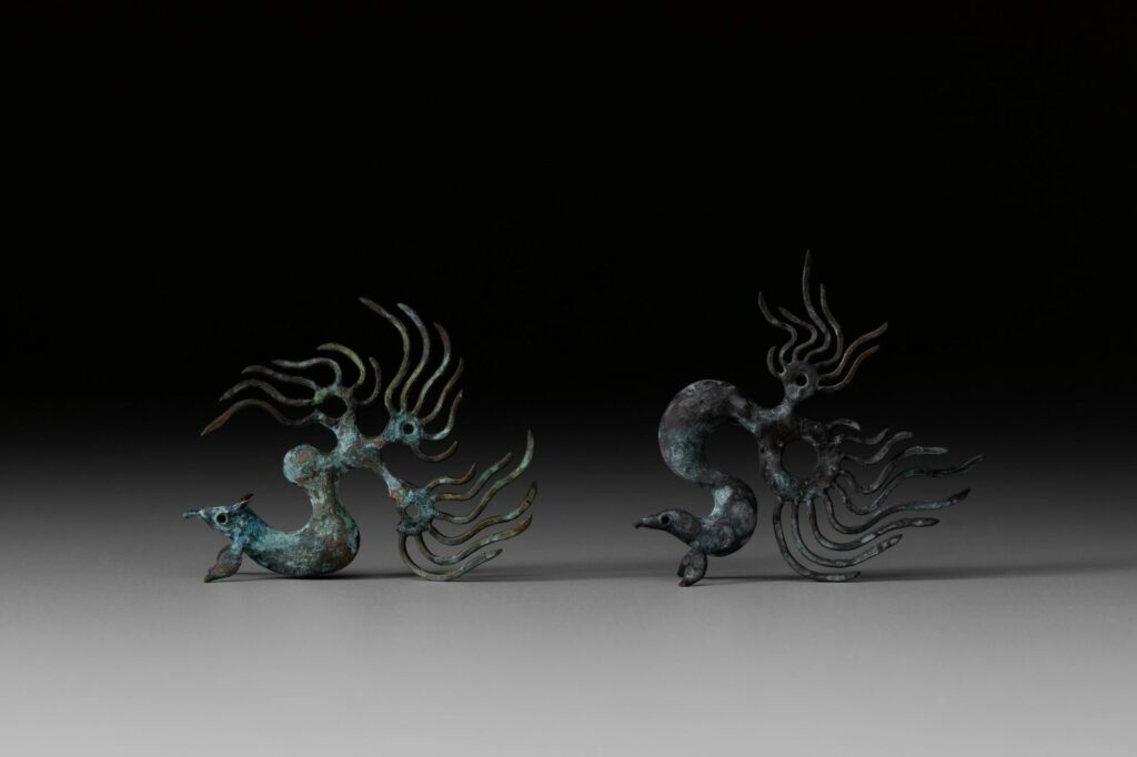 蔦本 大樹 作品