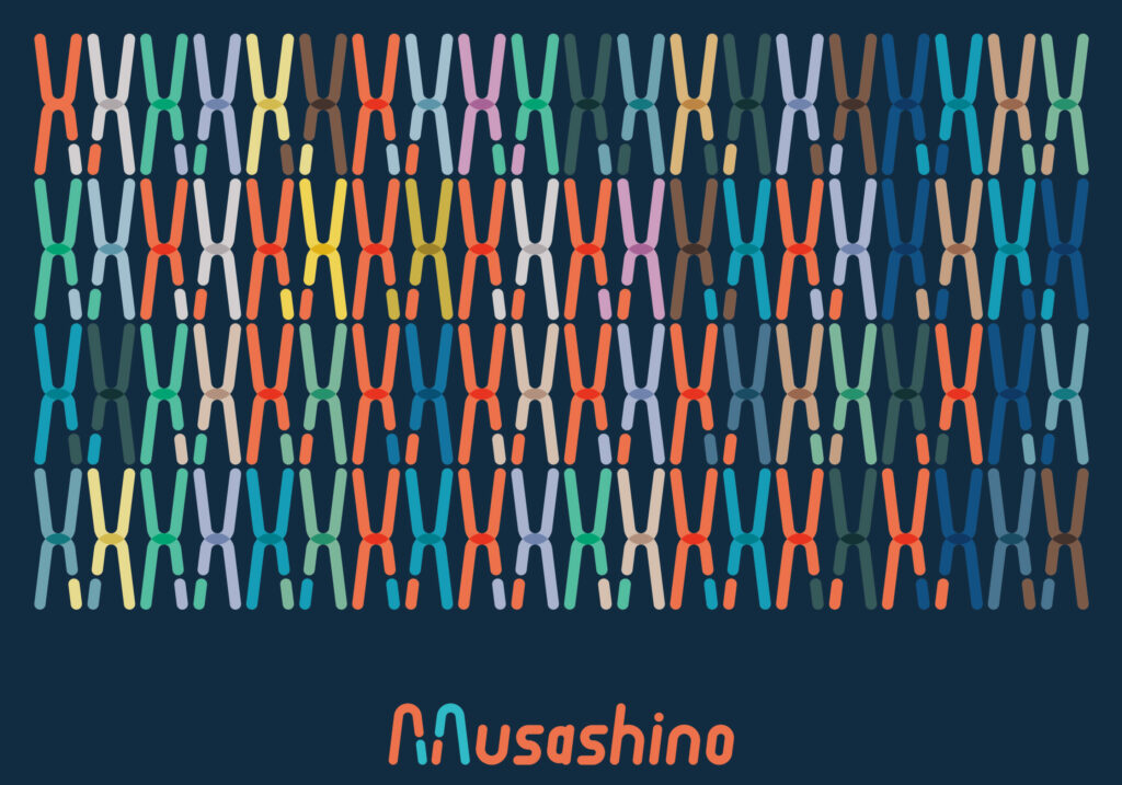 加藤弥生准教授が武蔵野線アートライン・プロジェクト「MUSASHINO ART RAILWAY FESTIVAL」キービジュアルアート公認アーティストに決定 イメージ